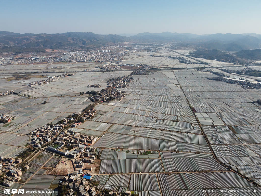 田野