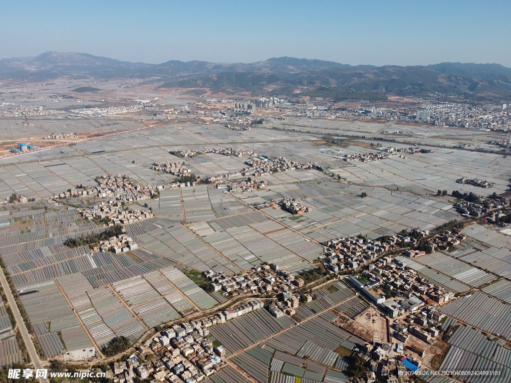 田野