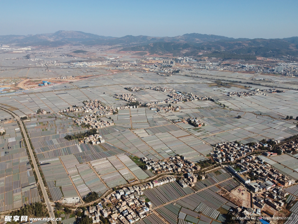 田野