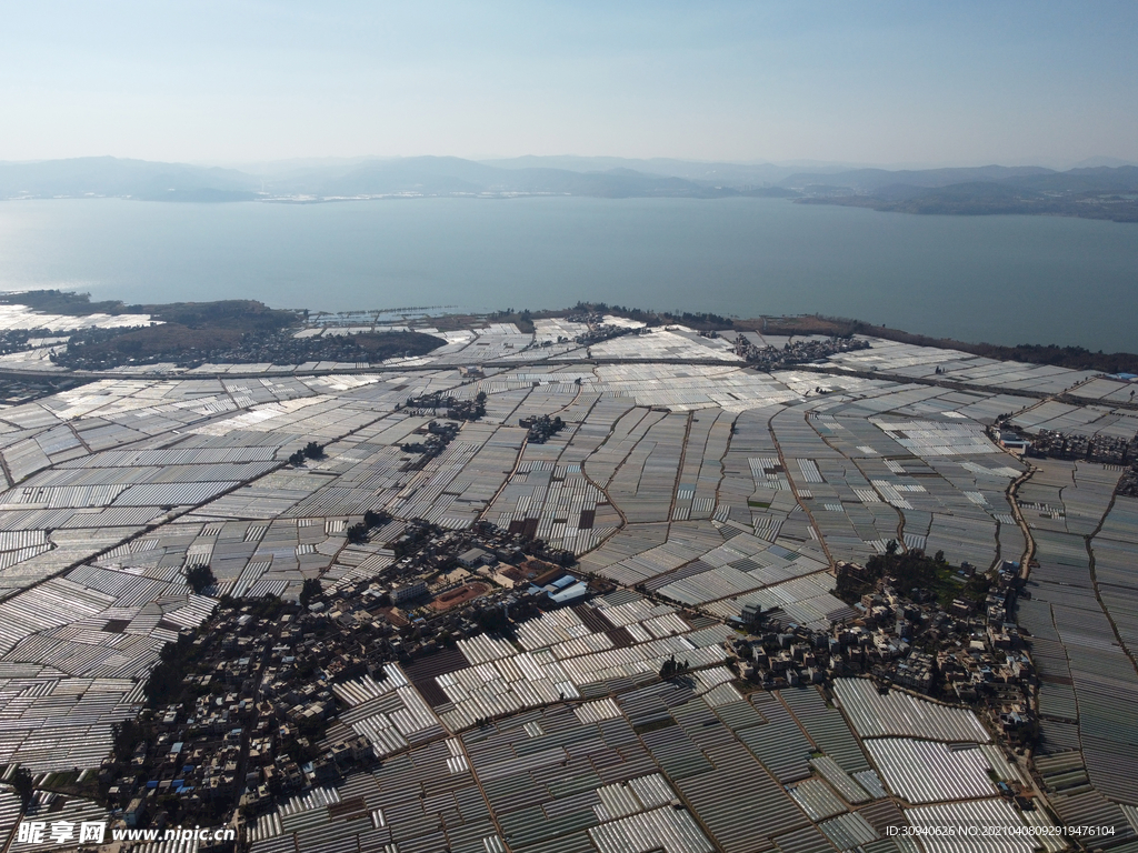 田野