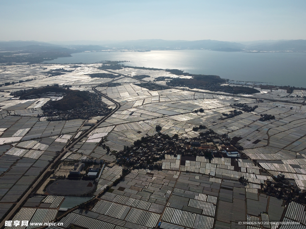 田野