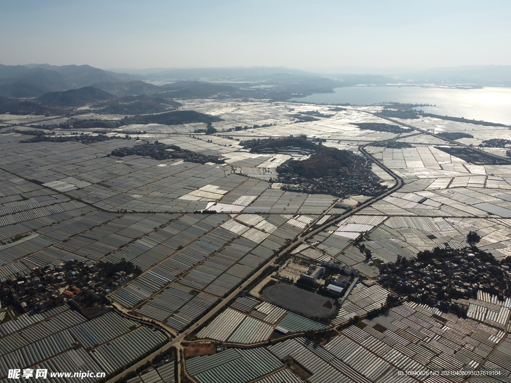 田野