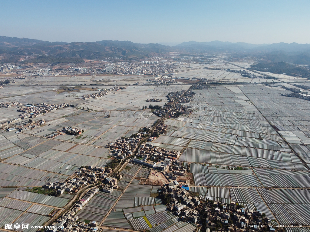 田野