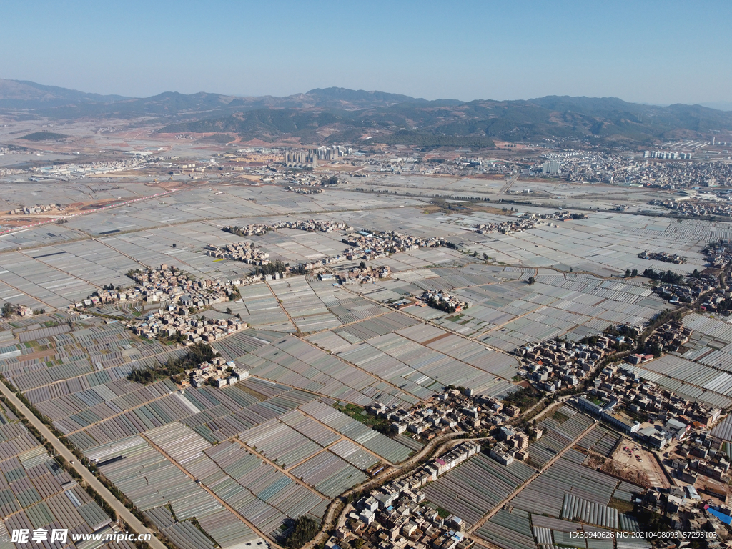 田野