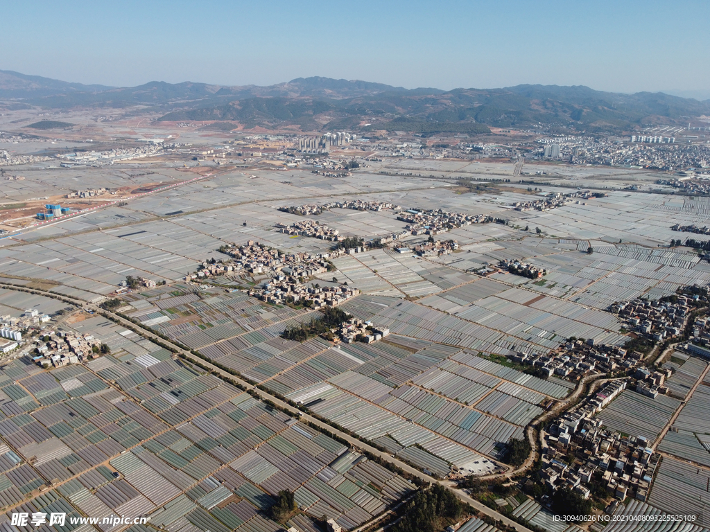 田野