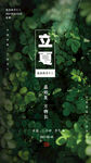 夏至 