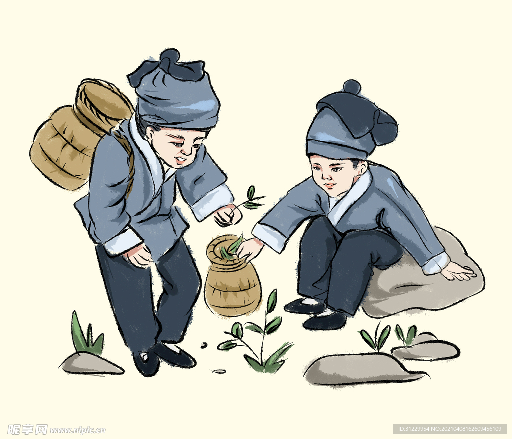 儿童采茶 