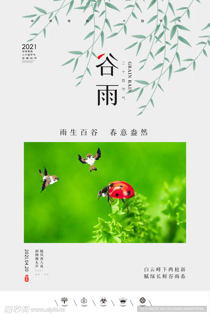 谷雨