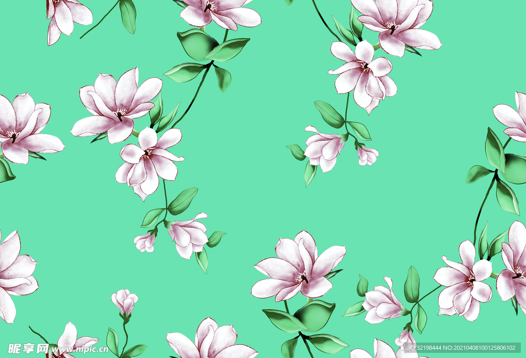 手绘玉兰花