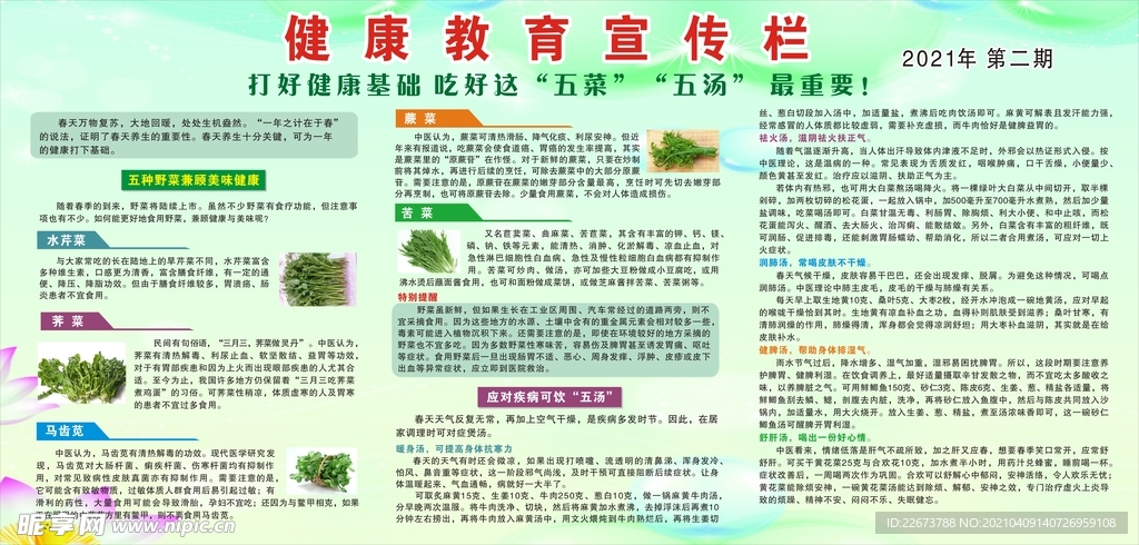 健康教育 宣传 五菜  五汤
