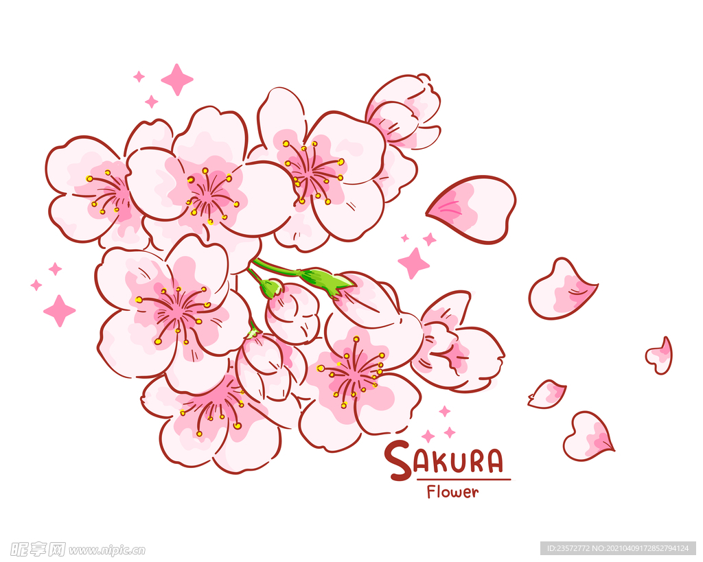 手绘樱花插画