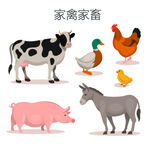 家禽家畜