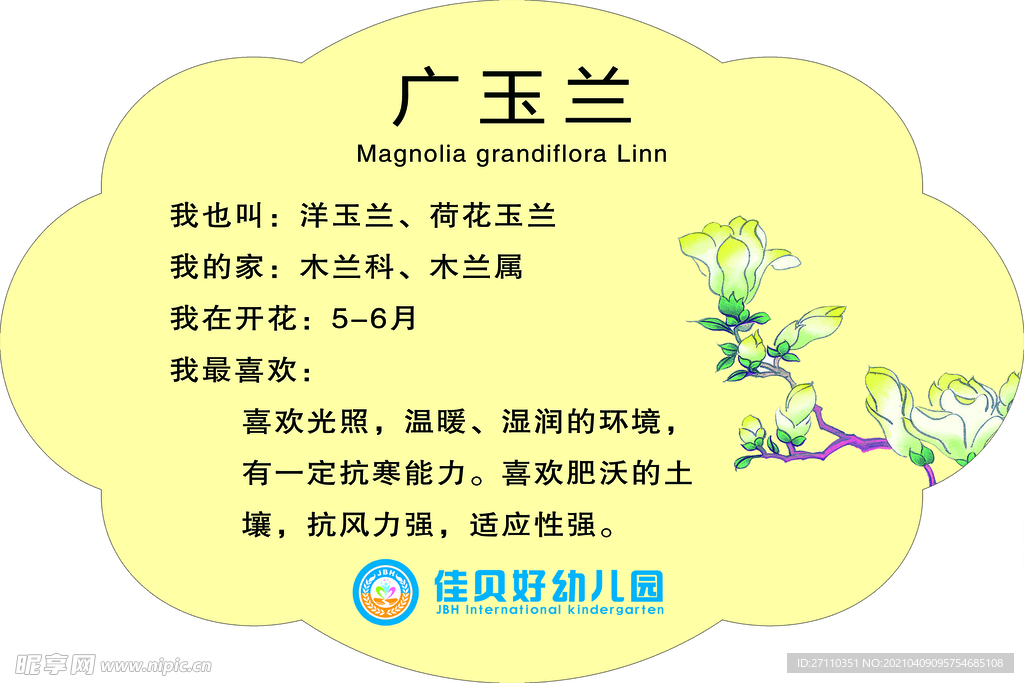树牌