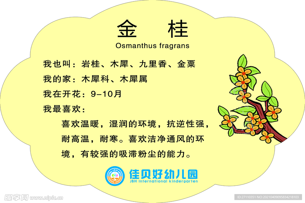 树牌