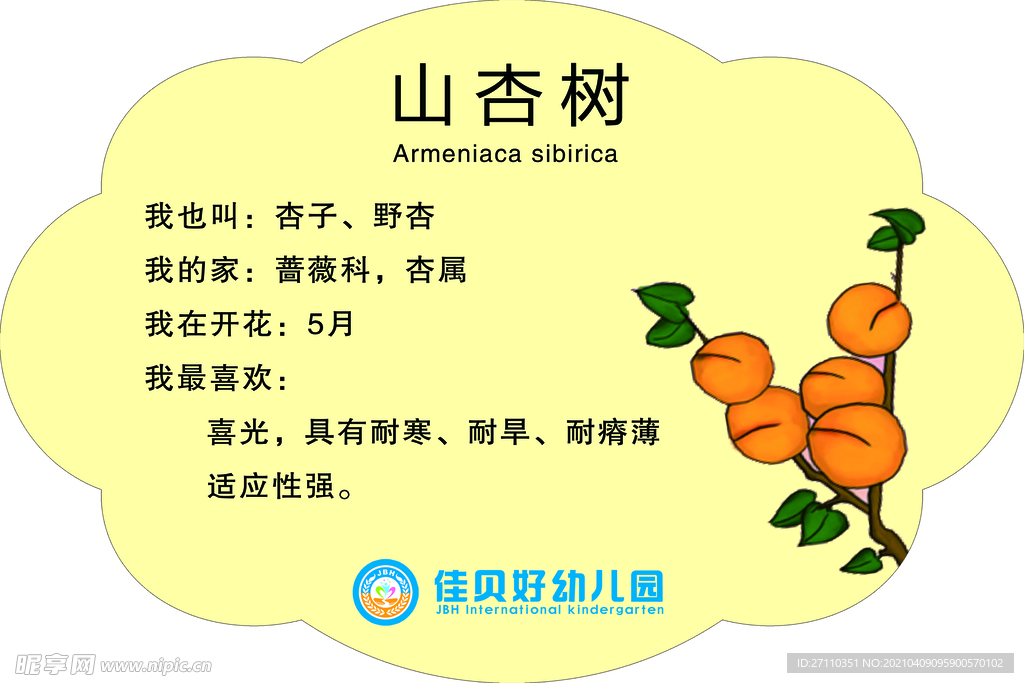 树牌