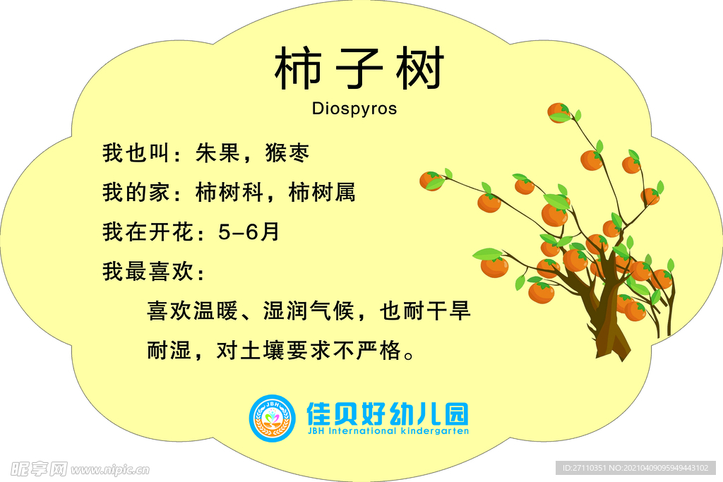 柿树牌