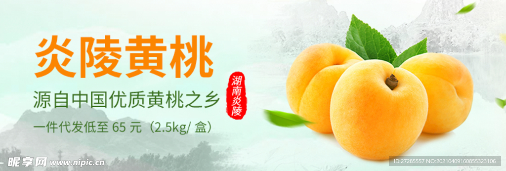 黄桃简介