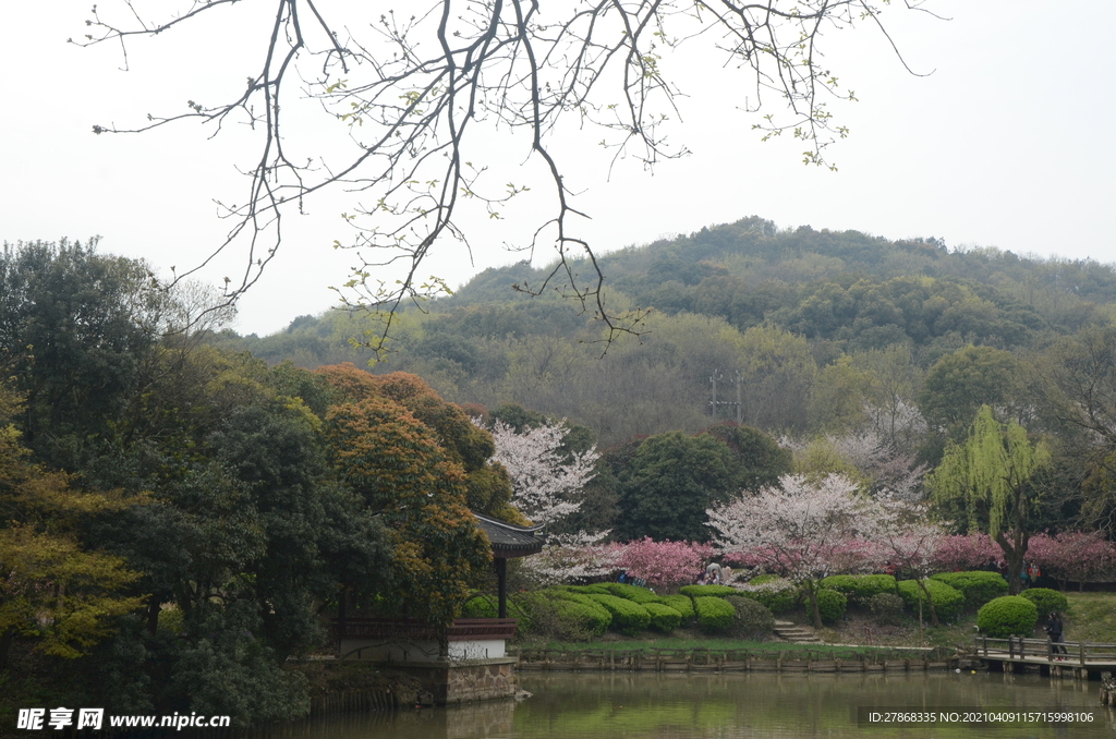 樱花湖畔