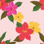 花图片