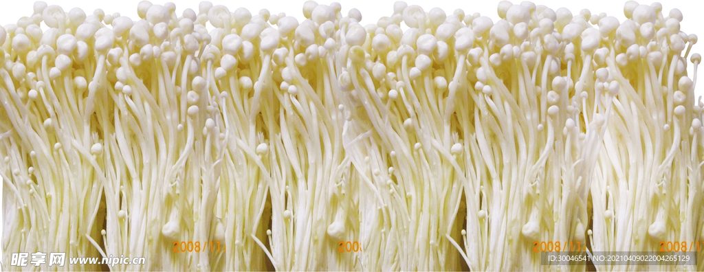金针菇