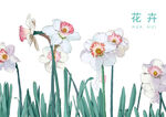 花卉手绘插画