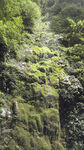 岩石