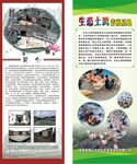 宜章  腊元古村  生态土鸡