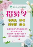 植后 招募令