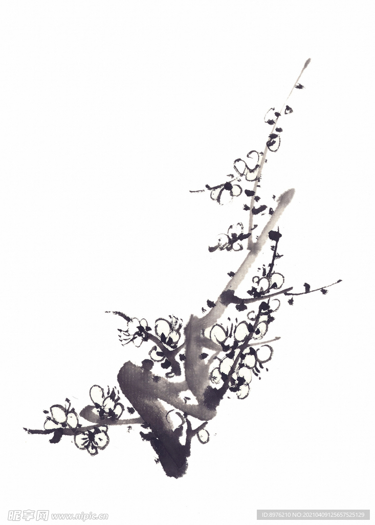水墨花朵 水墨设计