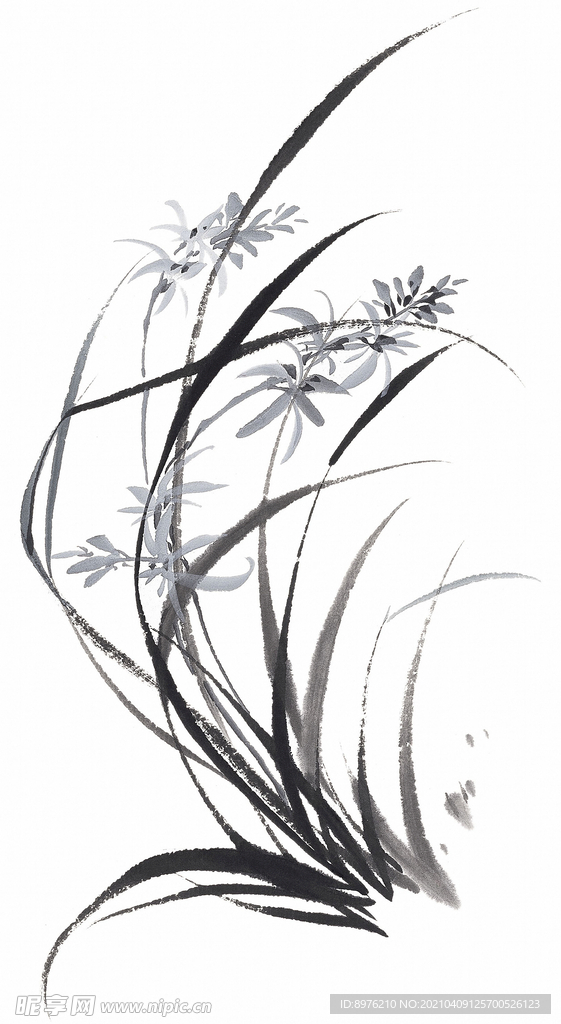 水墨花朵 水墨设计