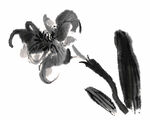 水墨花朵 水墨设计