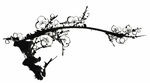 水墨花朵 水墨设计