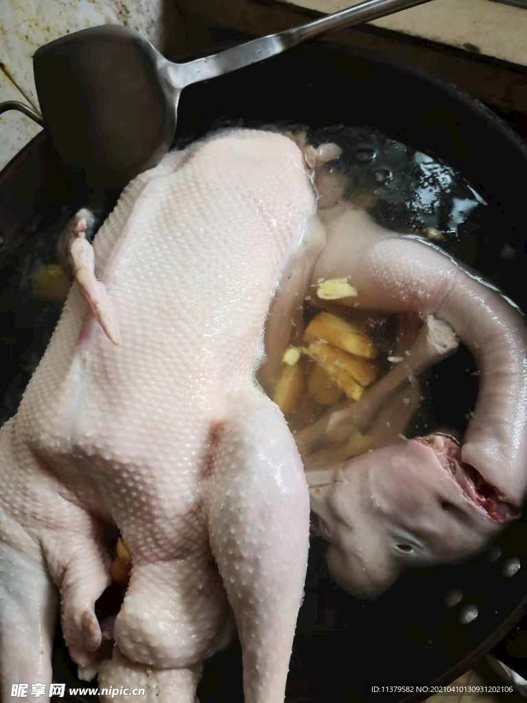 鹅