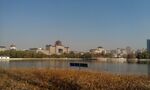 莲花池公园