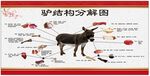 驴分解图