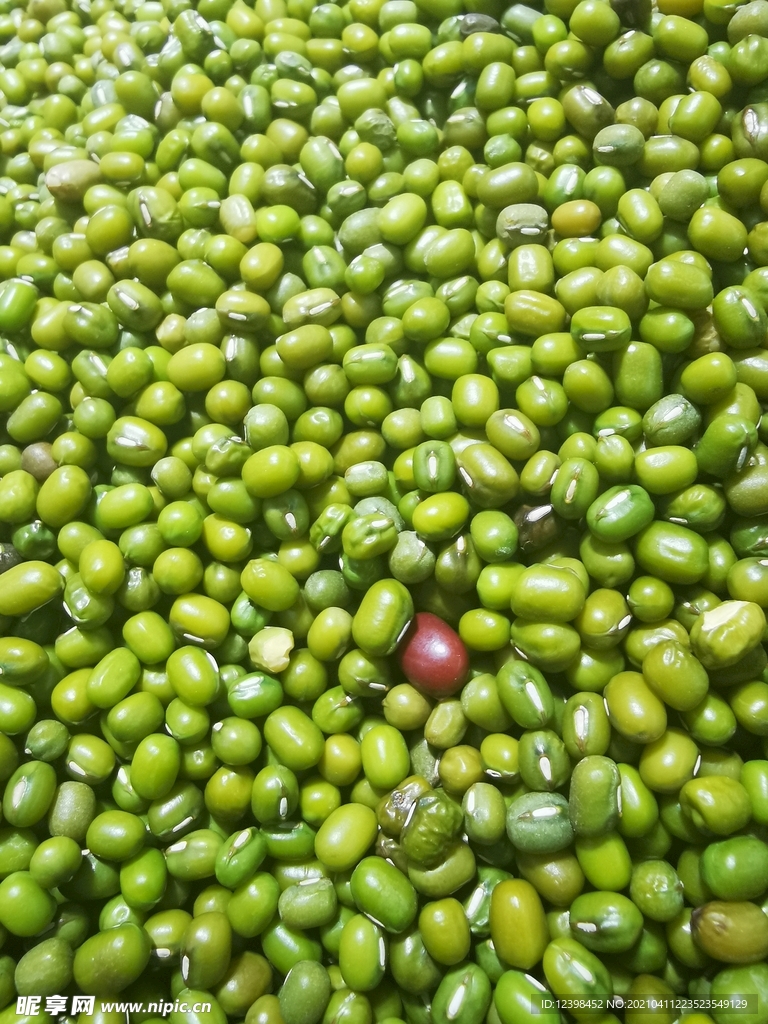 绿豆