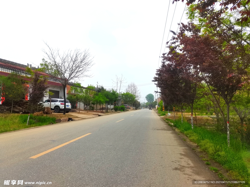 乡村道路美景