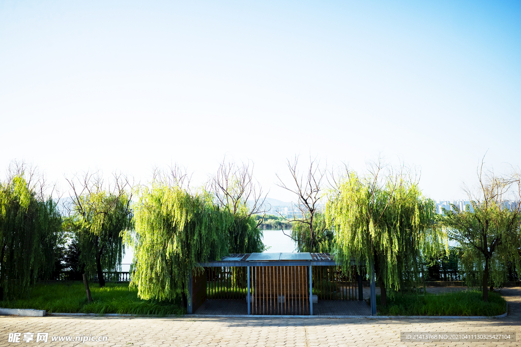 清新自然风景