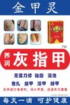 金甲灵海报