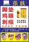 茧族海报