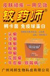 铍药师海报