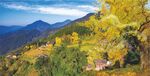 农村风景