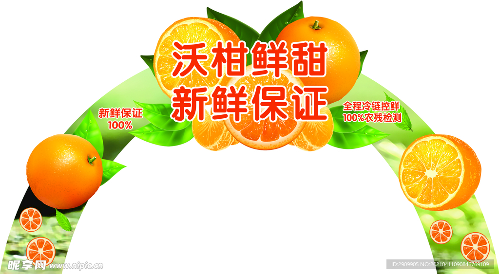 沃柑柑橘橙子甜-拱门