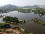 湿地