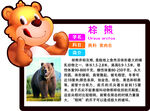 棕熊 动物简介