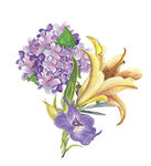 鲜花素材