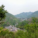 柑橘产业