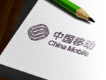 丝印烫金logo logo样机