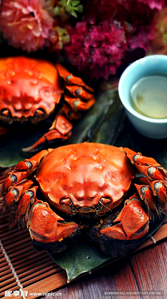 螃蟹美食餐饮