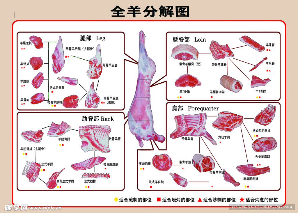 全羊分解图